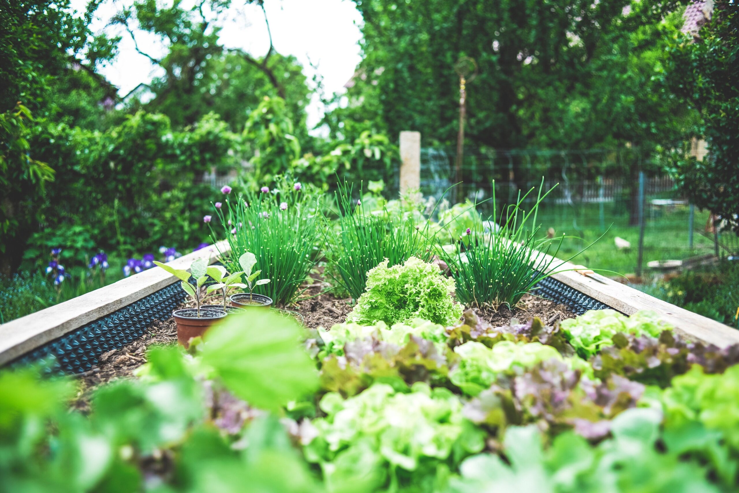 Jardinières encastrées pour fleurs